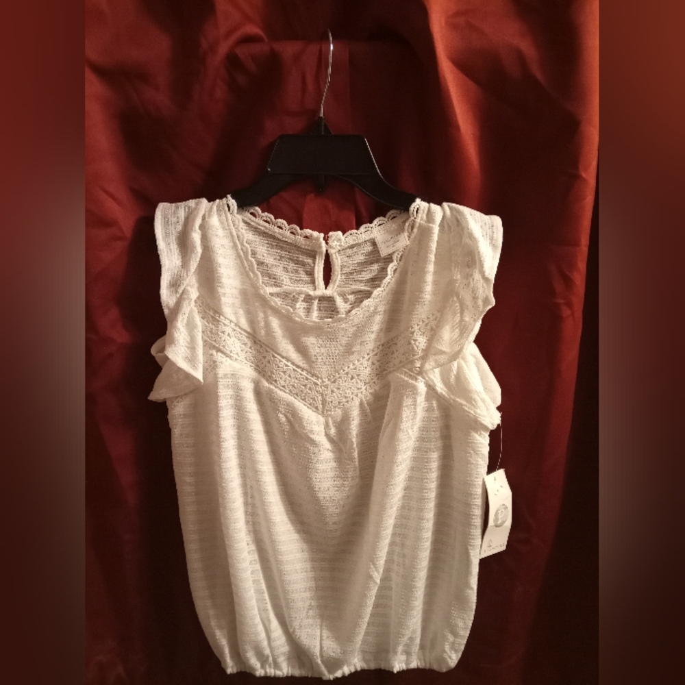 Medium passport crop top blouse